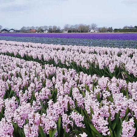 Holiday home Vrijstaande Blokhut *