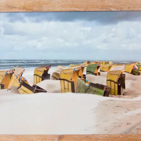 Vrijstaande Blokhut * Egmond-Binnen