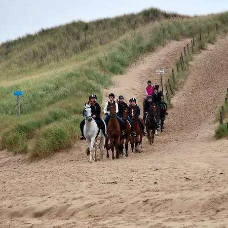 Vrijstaande Blokhut Vakantiehuis *