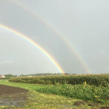 Holiday home Vrijstaande Blokhut