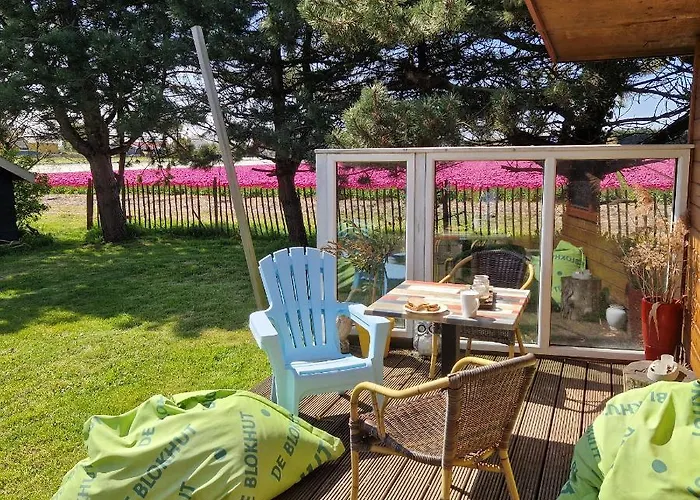 Vakantiehuis Vrijstaande Blokhut