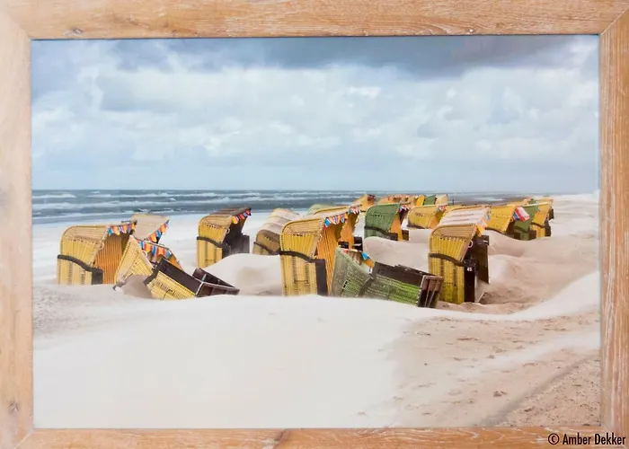 Vrijstaande Blokhut * Egmond-Binnen