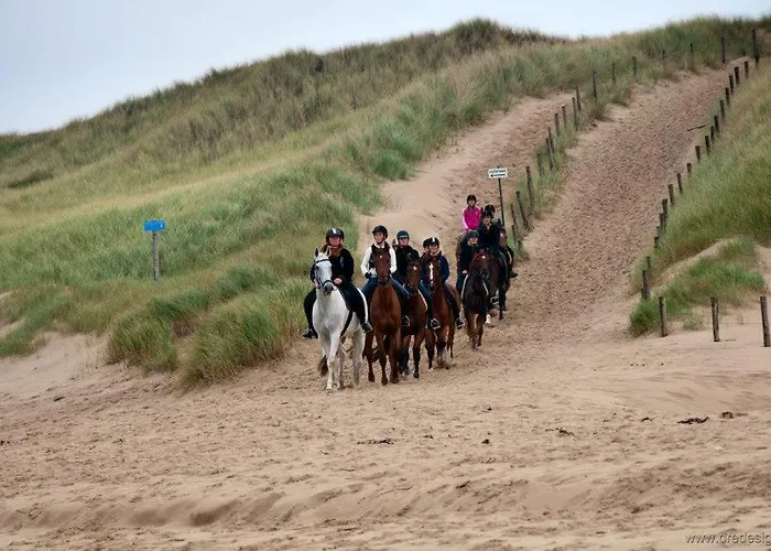 Vrijstaande Blokhut Vakantiehuis *