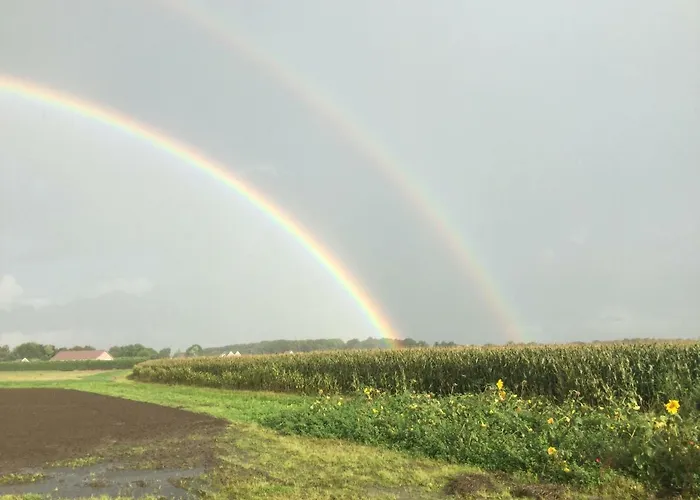 Vakantiehuis Vrijstaande Blokhut