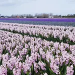度假居 Vrijstaande Blokhut *
