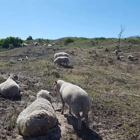 Vrijstaande Blokhut Prázdninový dům