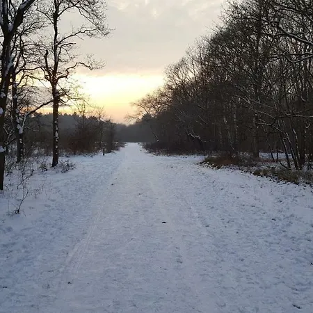 Prázdninový dům Vrijstaande Blokhut Egmond-Binnen